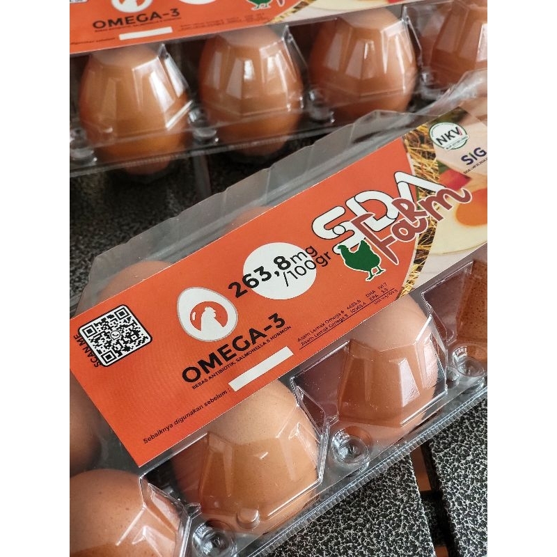 

Telur omega Makassar