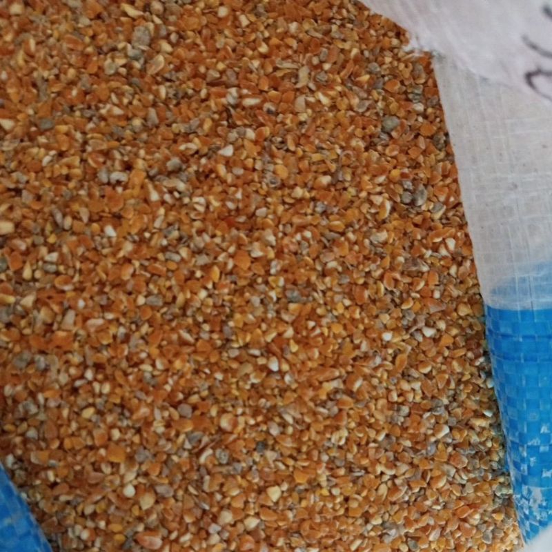 

JAGUNG MENIR REPACK 1 KG