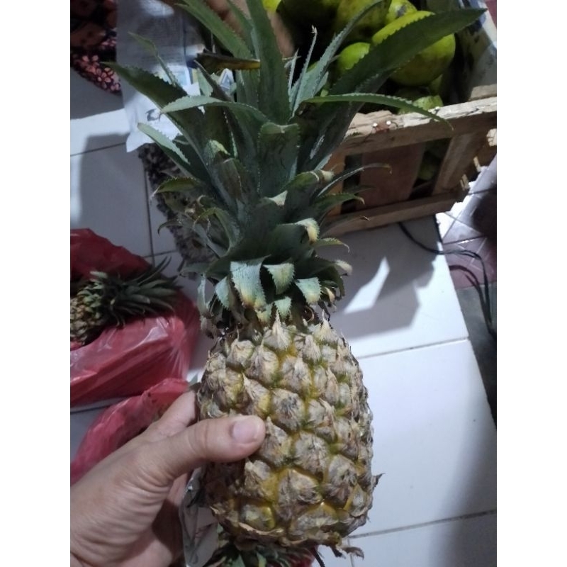 

nanas Palembang terbaik