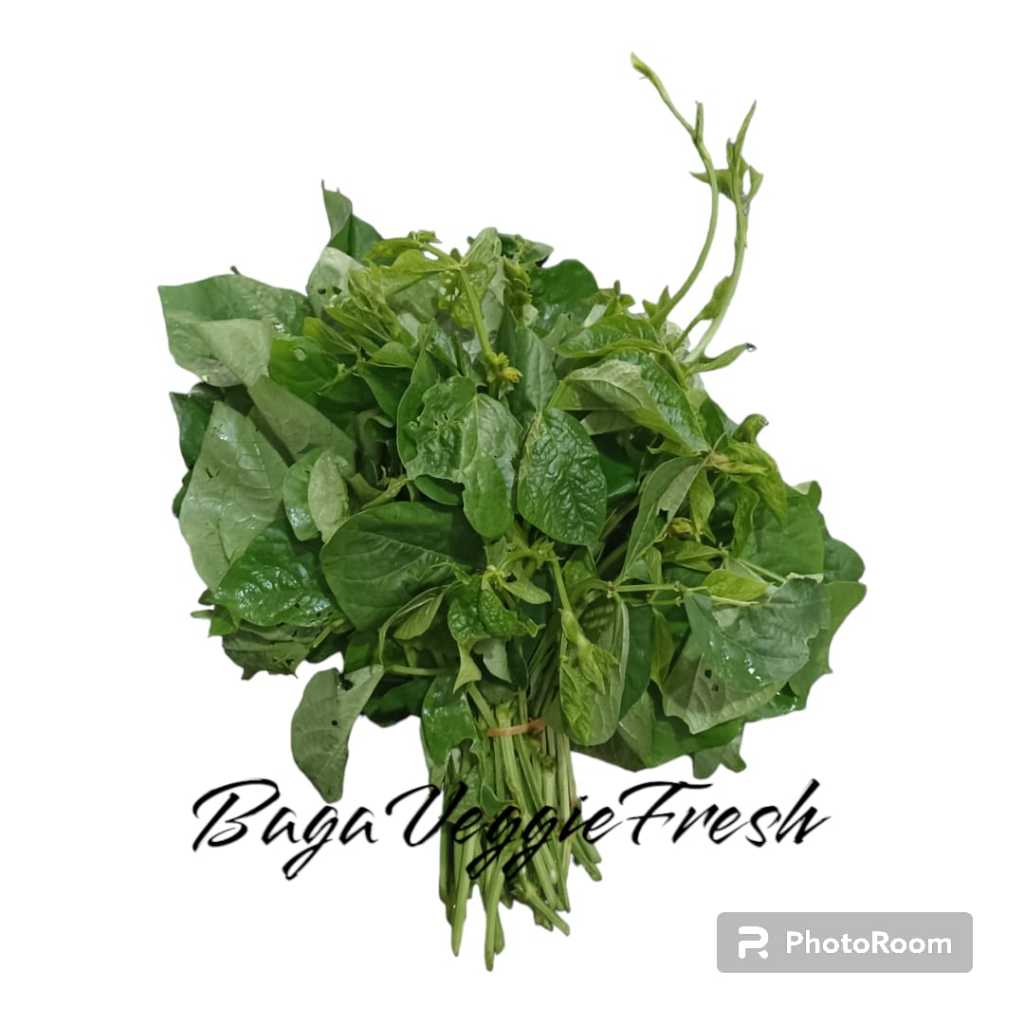 

Daun Lembayung