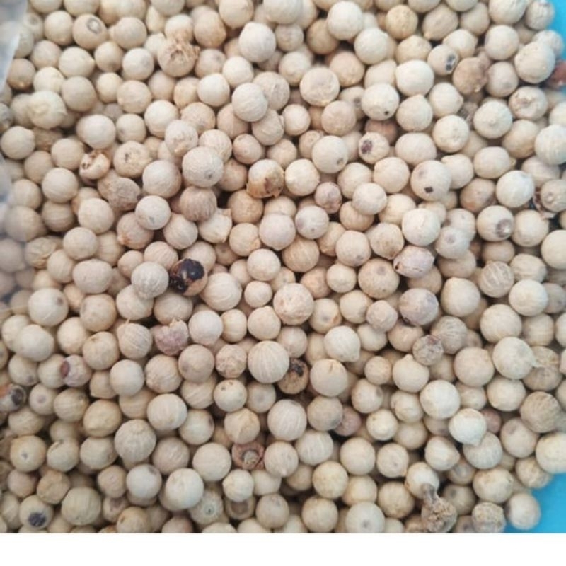 

TERMURAH lada putih merica putih murni 1/4 1/2 1kg