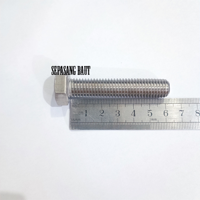 M12 x 60 Baut Hexagon Stainless 304 M12x60
