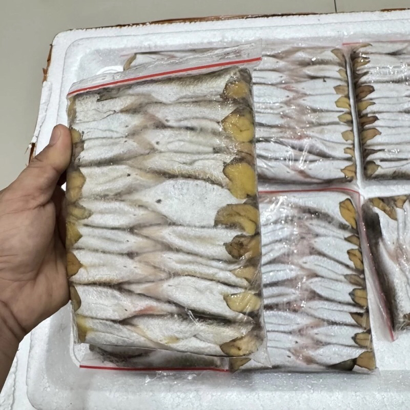 

Ikan Belanak Full Telor / Belanak Potong Bersih Kemasan pack/500Gram