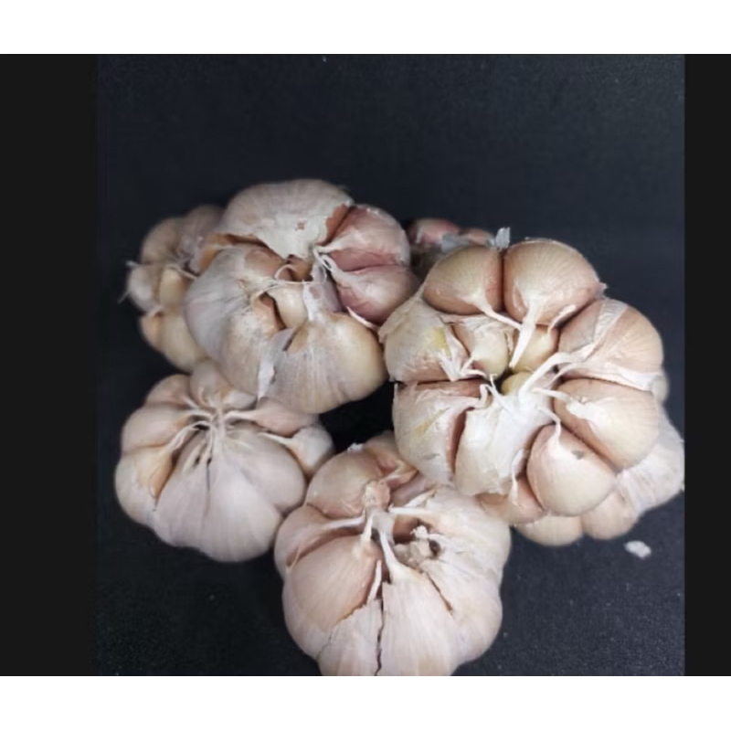 

Bawang Putih Premium 500gr