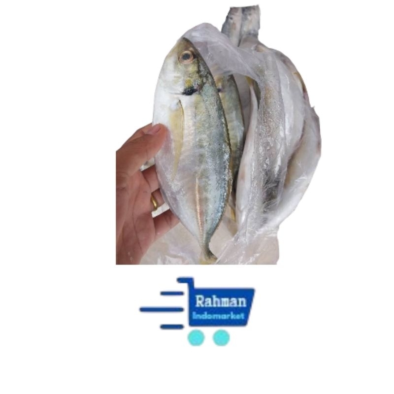 

IKAN GAMBOLO 500GR/IKAN KEMBUNG/IKAN GEMBUNG segar