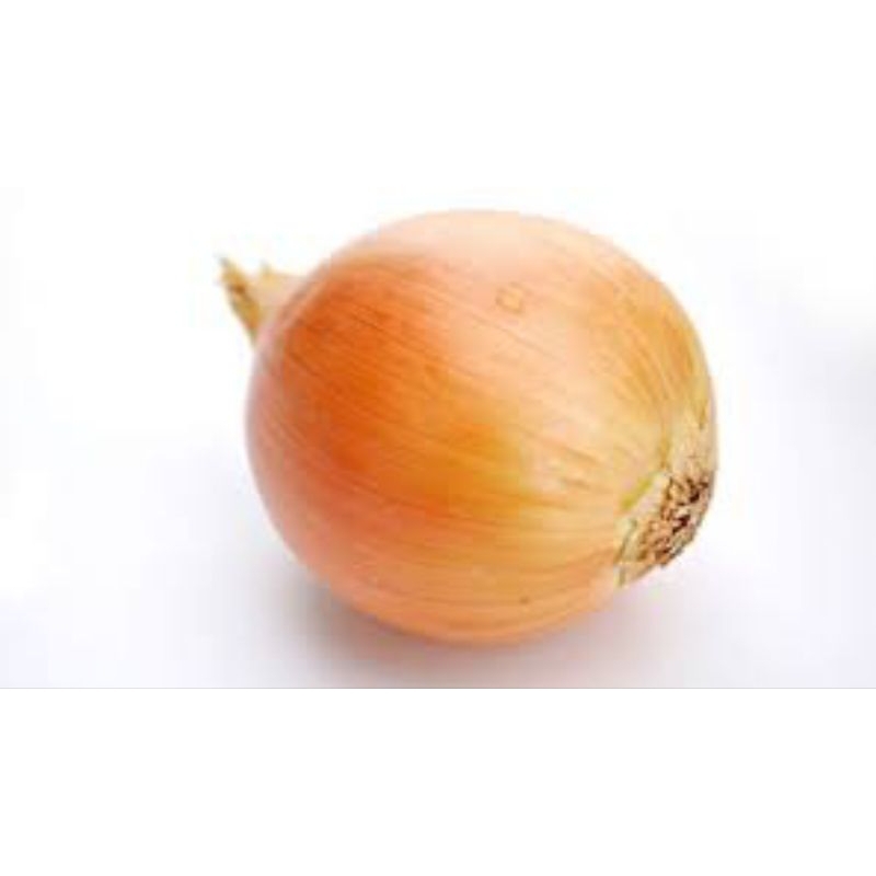

Bawang Bombay berat 1 kg ready setiap hari