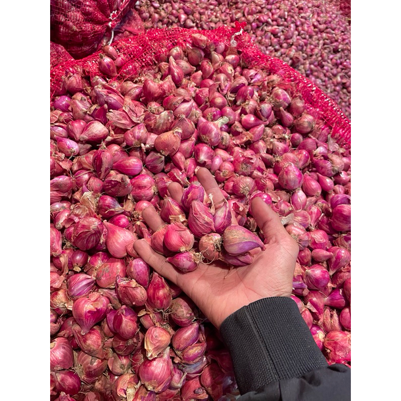 

BAWANG MERAH BREBES MURAH UKURAN CAMPUR