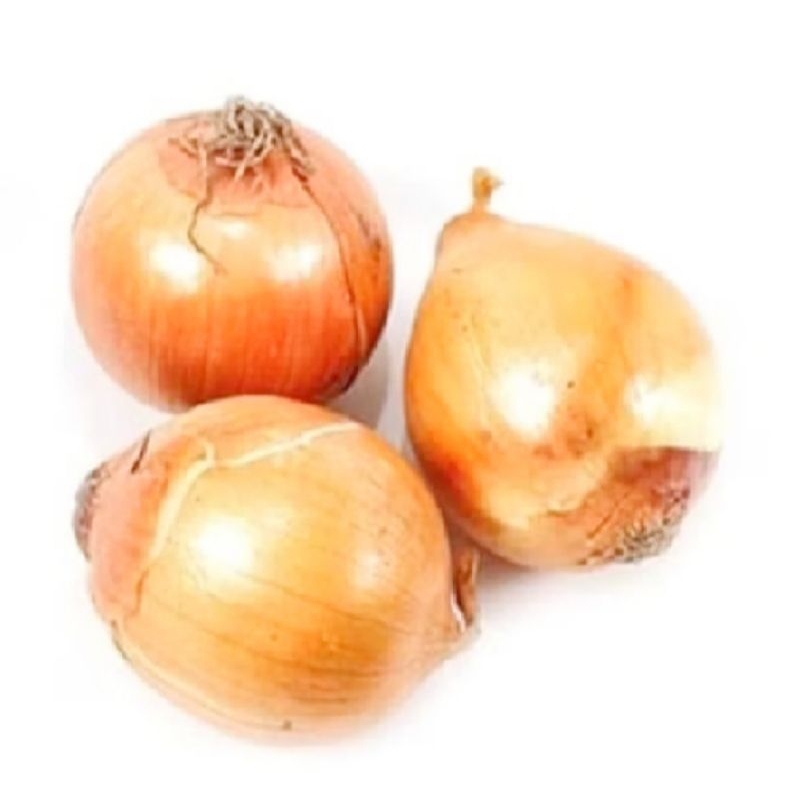 

Bawang Bombay 250 gr