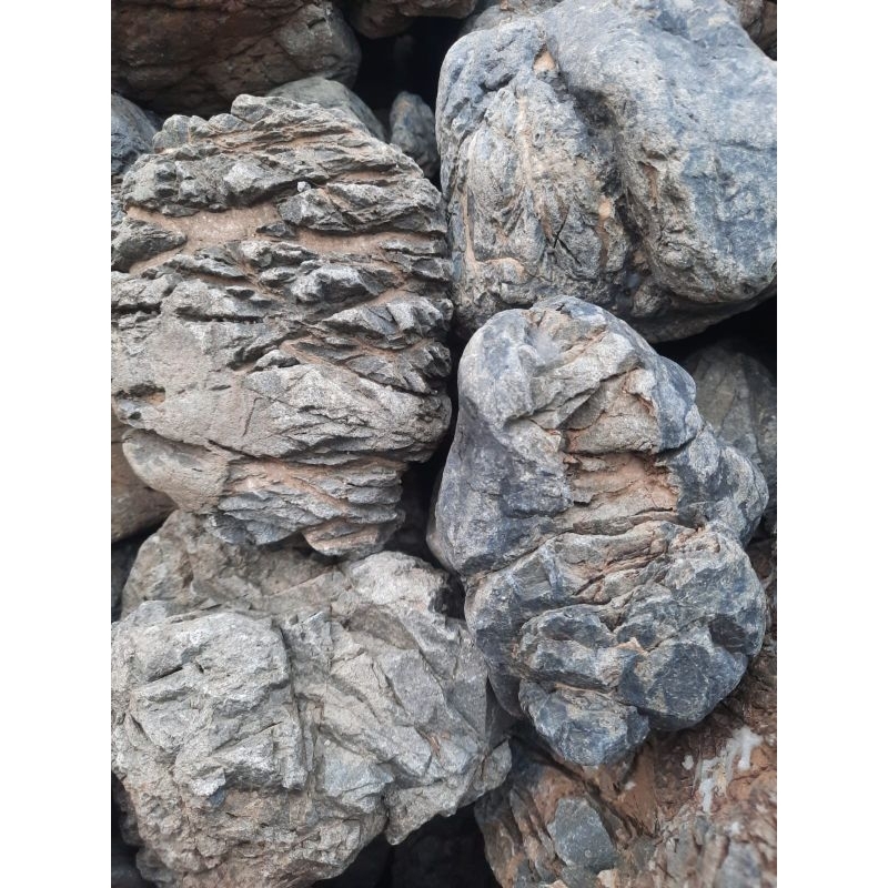 Truly stone batu aquascape