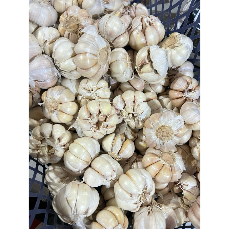 

Bawang Putih 250 gram