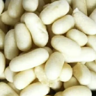 

PILUS IKAN /PILUS KAPSUL TERMURAH 500 grm