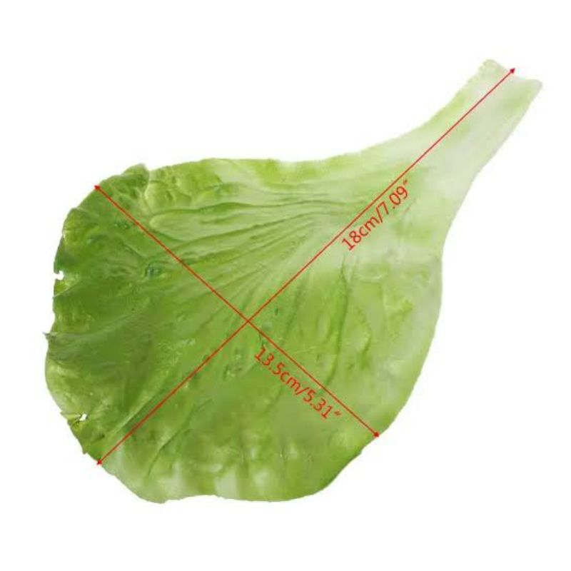 

Replika sayuran daun salada 1pcs cocok untuk di gunakan ( mainan anak / edukatif / etalase toko / artifical / contoh warung / sample / dummy / display / dll )