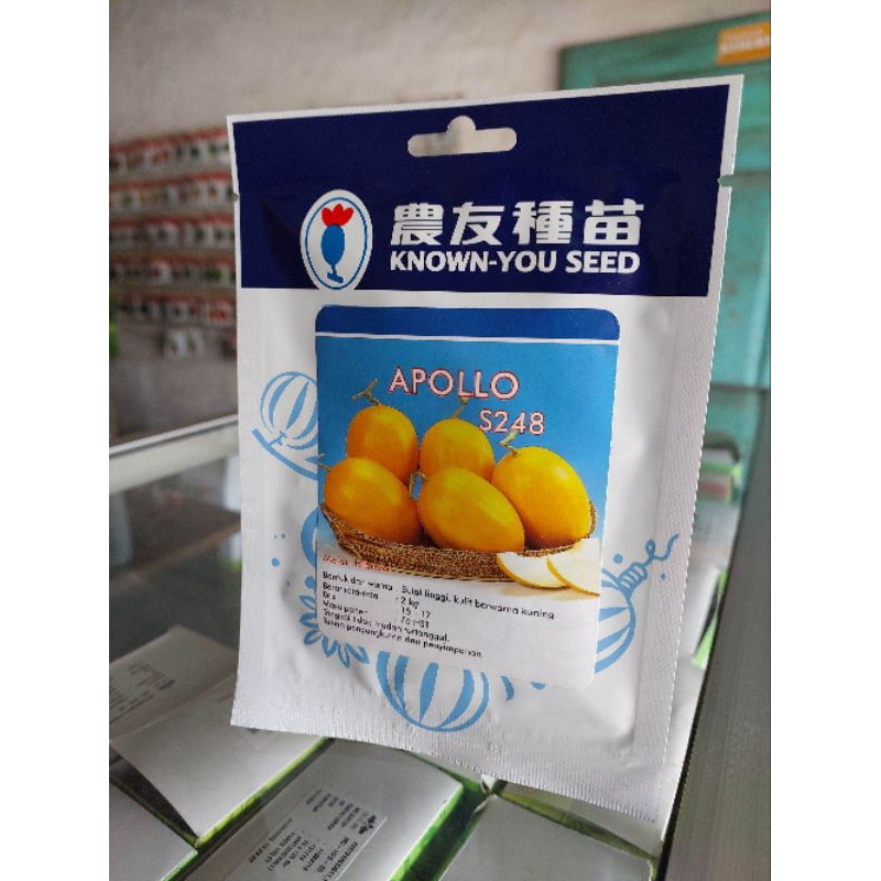 Benih melon golden Apollo f1 20 gram(550 biji)