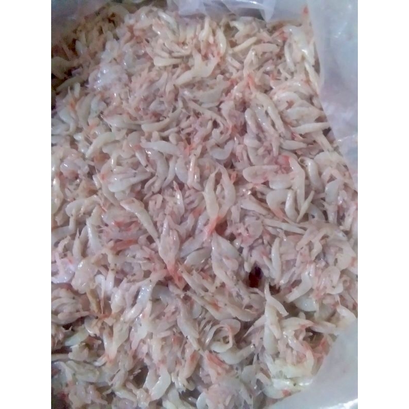 

Kencalok/Hakoi/Hekoi/Cincalok Udang Padang Tikar 1kg