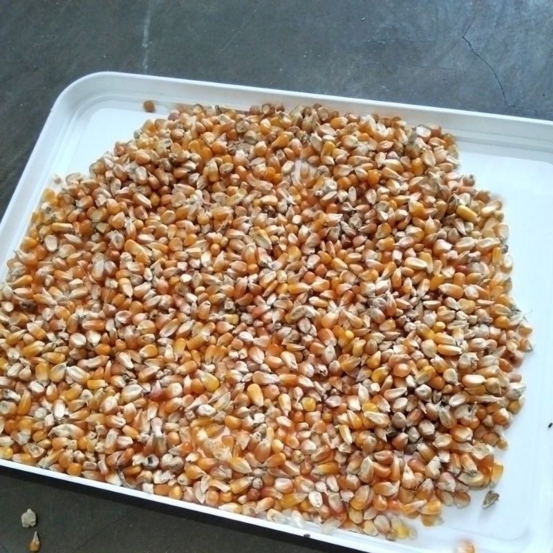 JAGUNG KRISTAL ORANGE & MERAH 1kg