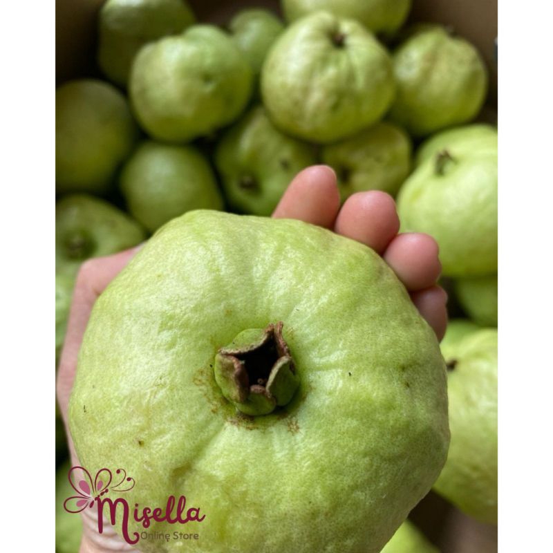 

Jambu Kristal Segar Berat 1 Kg