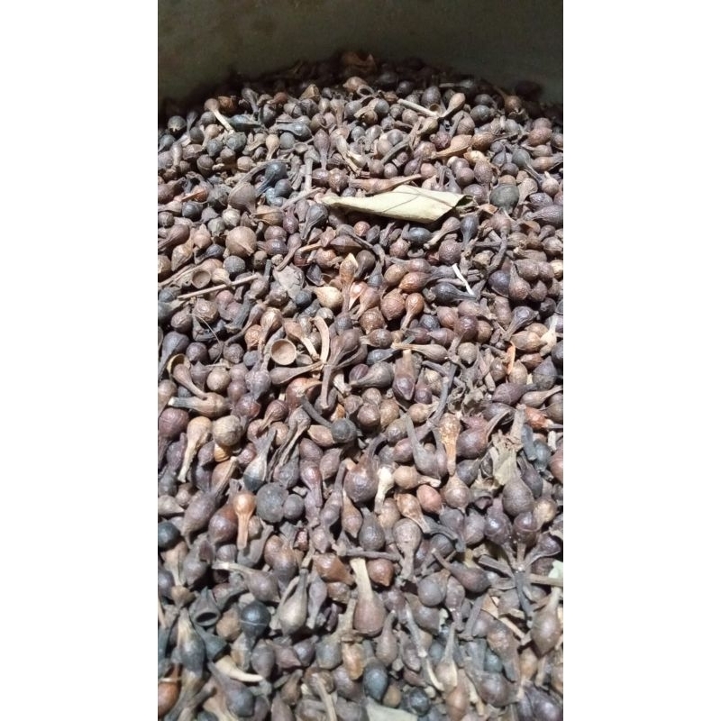 

Ekaliptus/ceplikan/Eucaliptus 1kg