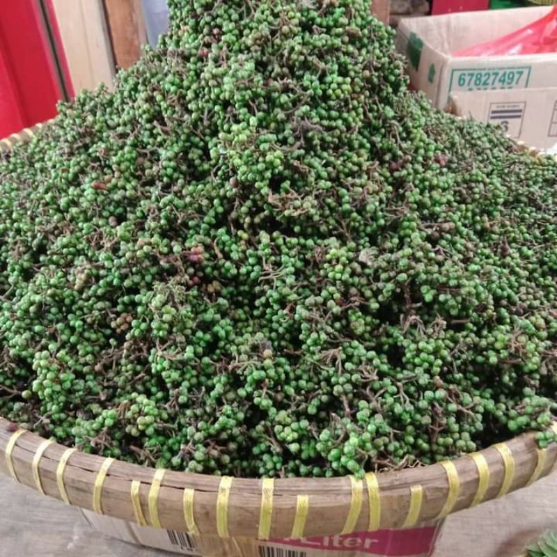 

Andaliman segar Khas Batak Medan Bumbu Itir Itir Tuba