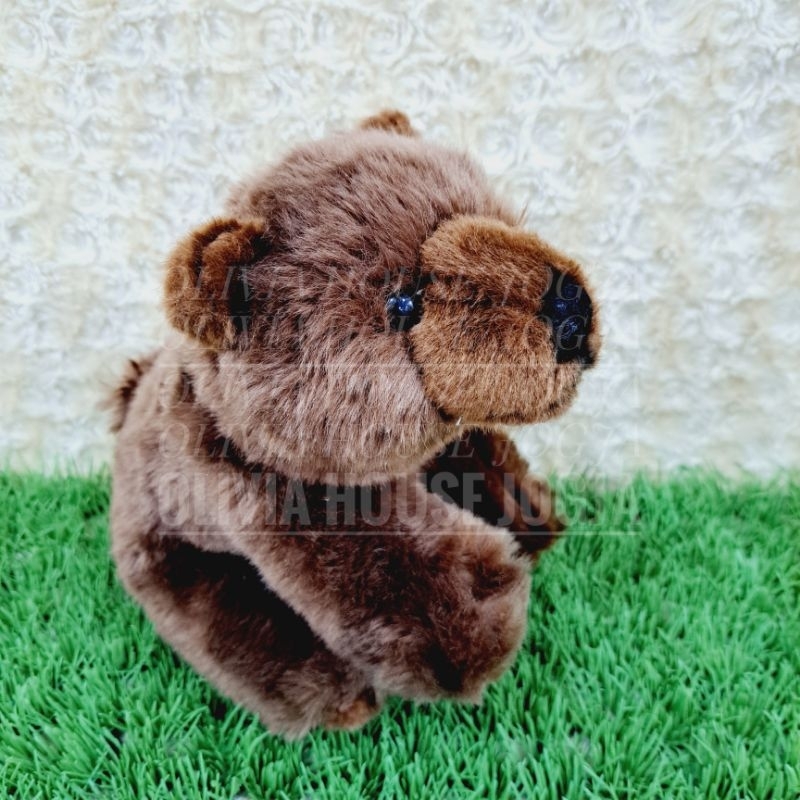 Boneka Beruang Std Boneka Bear Brown Boneka Beruang Coklat Mata Keras
