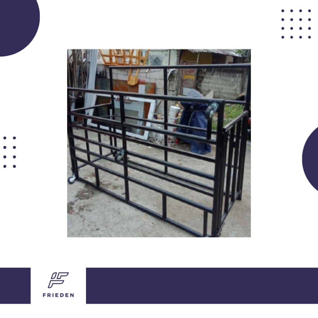 Alat Perebah Sapi Qurban Potong - Alat untuk Membaringkan Sapi Kurban Idul Adha