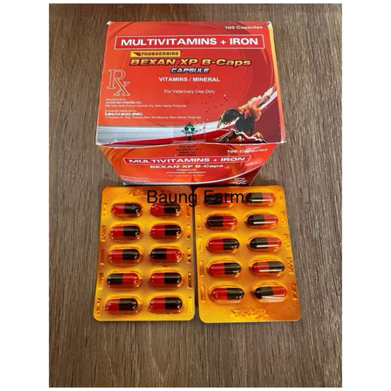 BEXAN XP CAPSULE (1 strip )