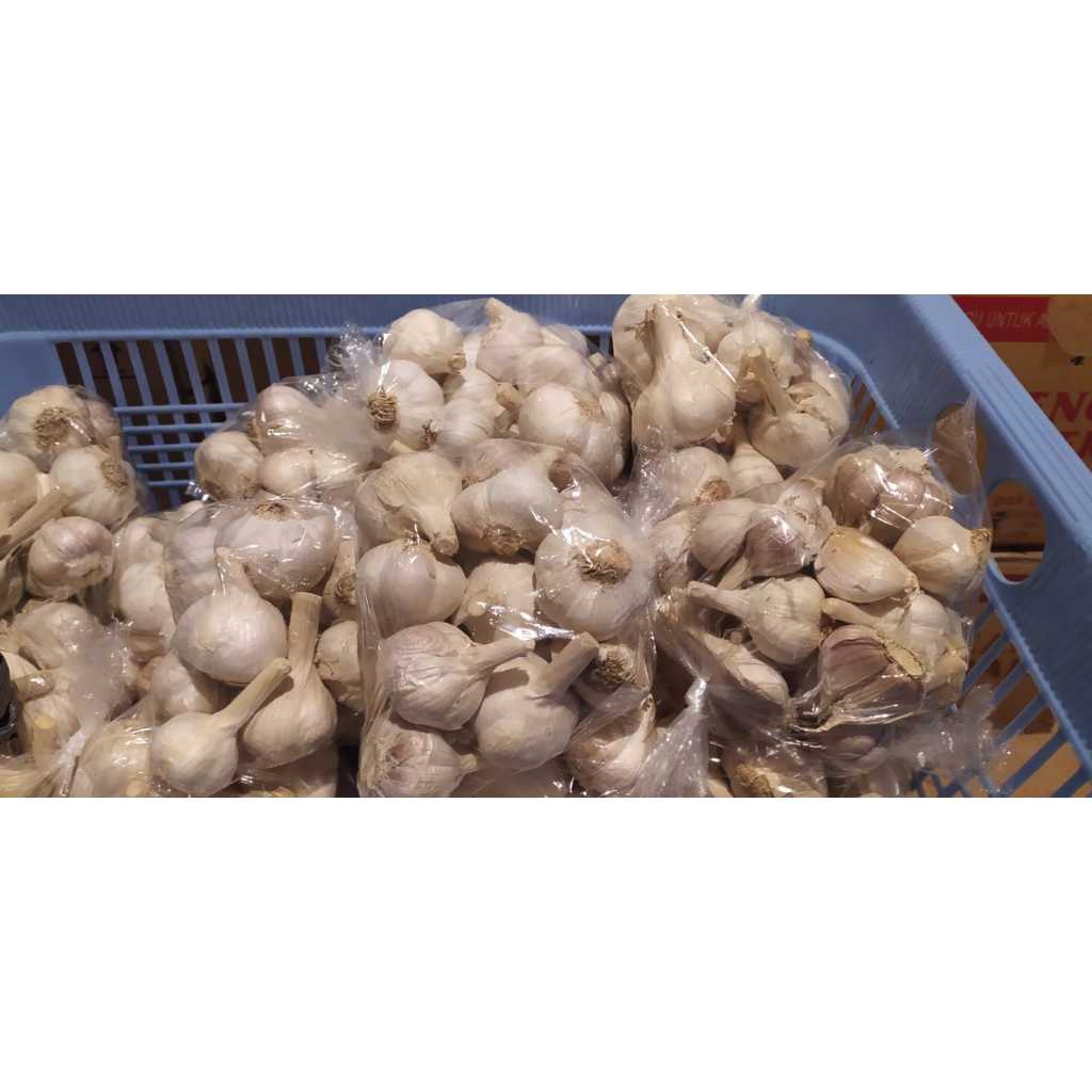 

Bawang Putih Bonggol 500 gram / 1 Kg