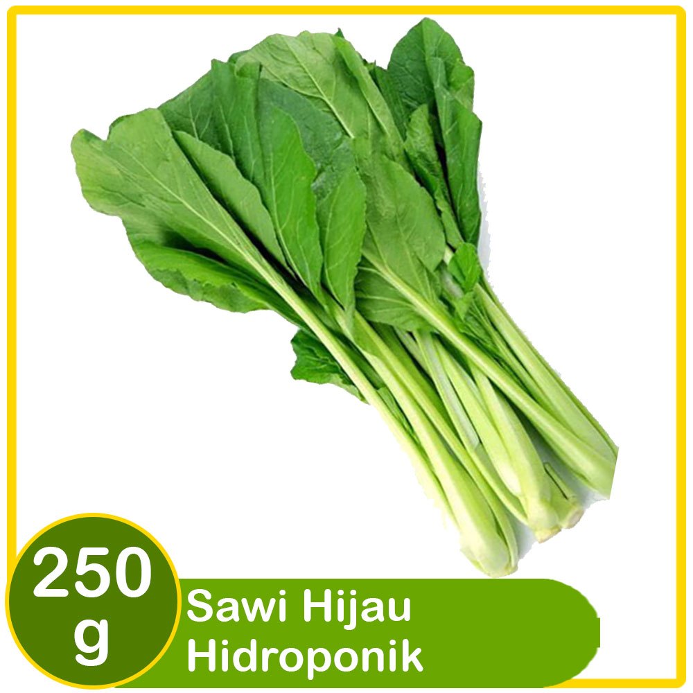 

Batamindo Sawi Hijau Chye Sim Hidroponik 250g – Segar, Sehat, & Bebas Pestisida!