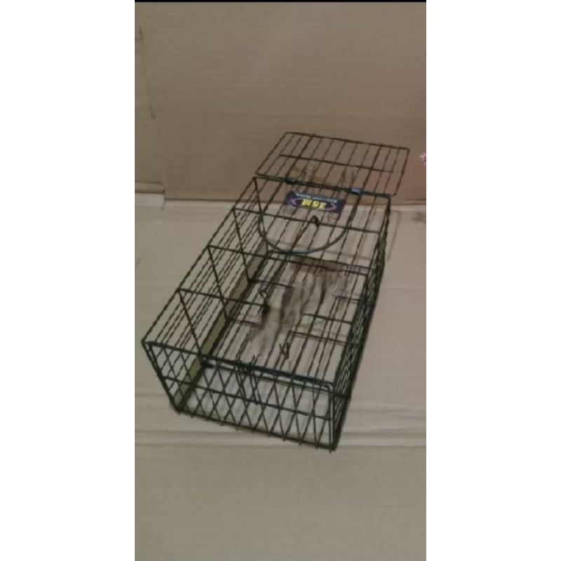 Perangkap Tikus Besi/jebakan tikus besi/perangkap tikus 2 pegas