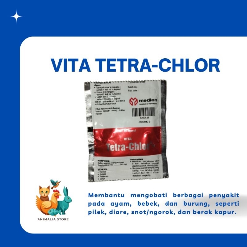 Tetra Chlor / Tetra-Chlor isi 10 kapsul