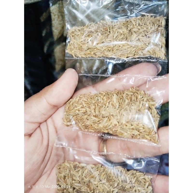 

Jintan (Rempah/Bumbu masakan) 1 renteng isi 10bks