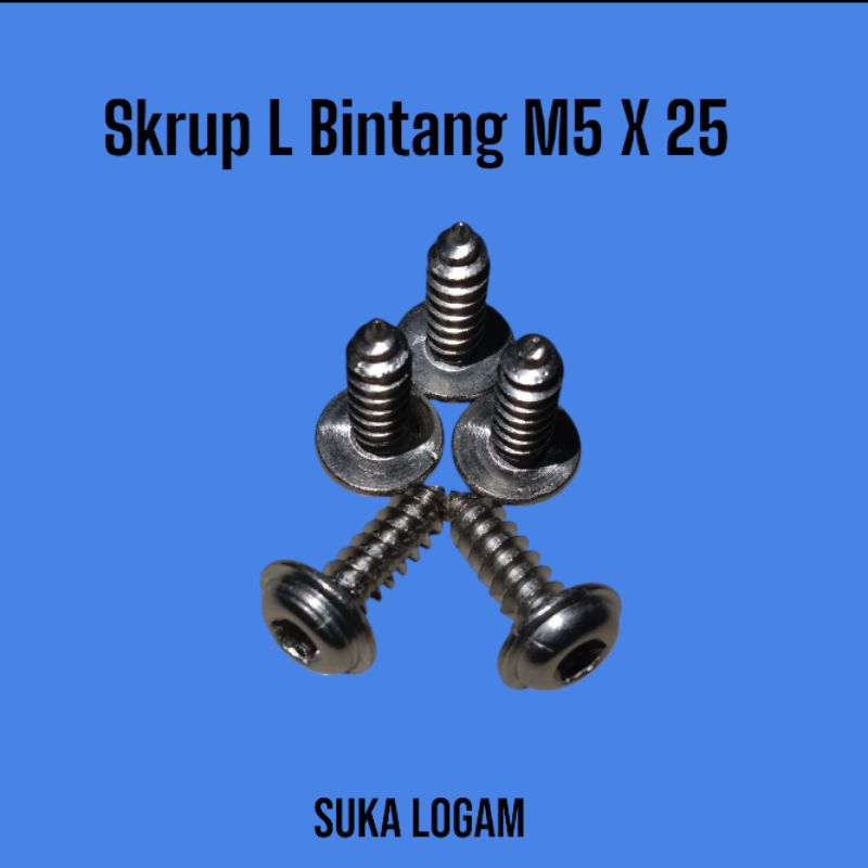 Baut Skrup Box Filter Motor Kunci L Bintang 5 x 25 Stainless Steel TORX Flange Button Head Kunci Bin