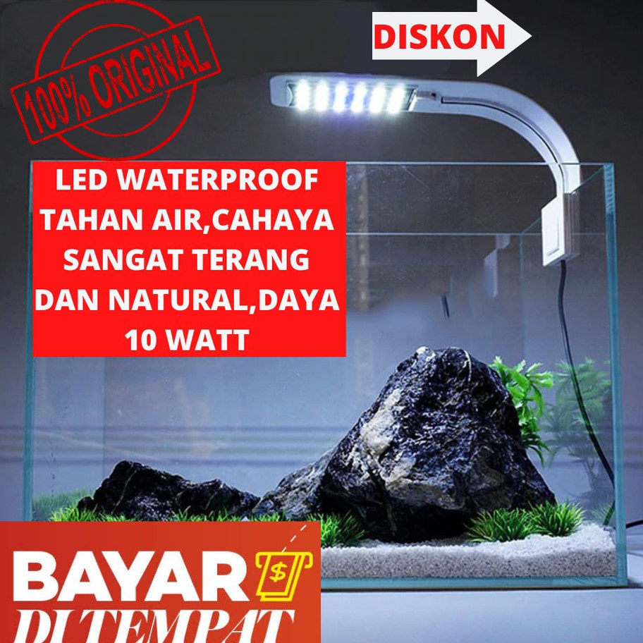 Update Lampu Akuarium Aquarium Led Putih Biru Mini Aquascape Jepit Murah Cod Cupang 4cm 6cm 1cm air 