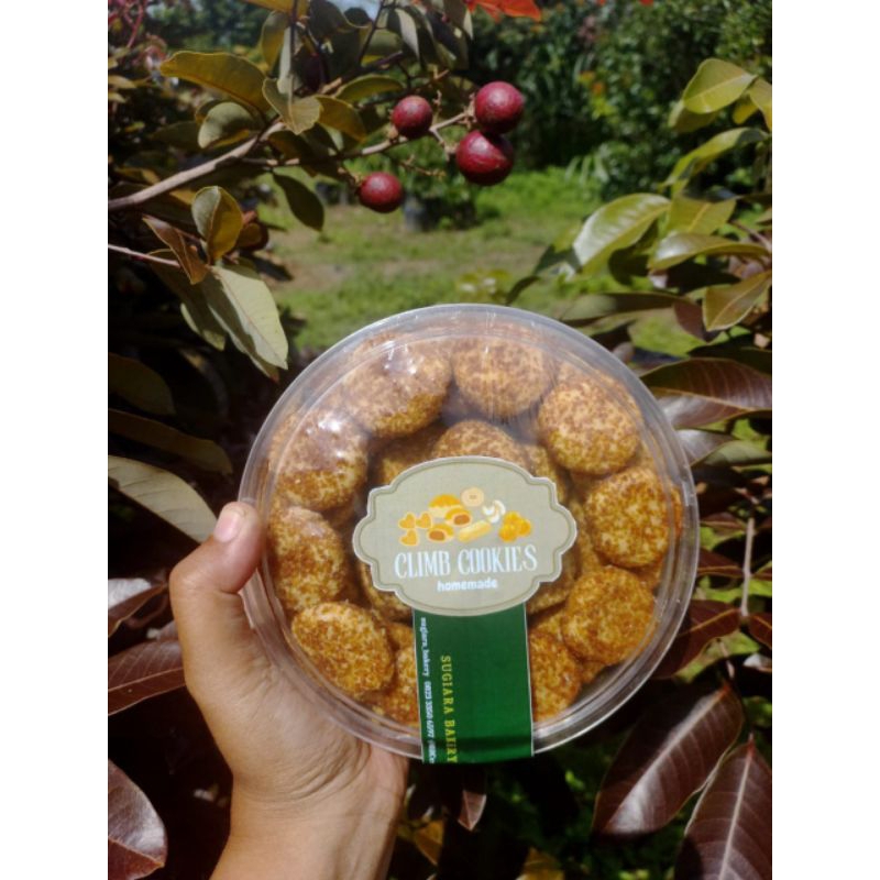 

Kue Cheese Palm