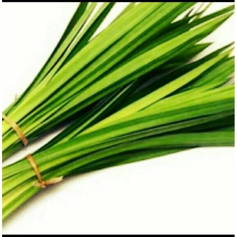 

JUAL DAUN PANDAN PERIKAT