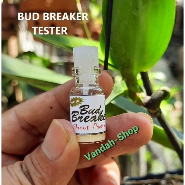 Bud Breaker Cream / Salep Penumbuh Tunas / Keiki Anggrek (Tester)