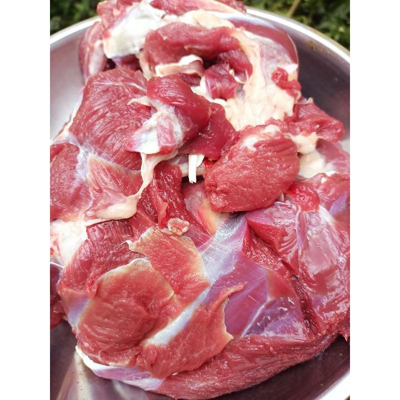 

daging kambing filet