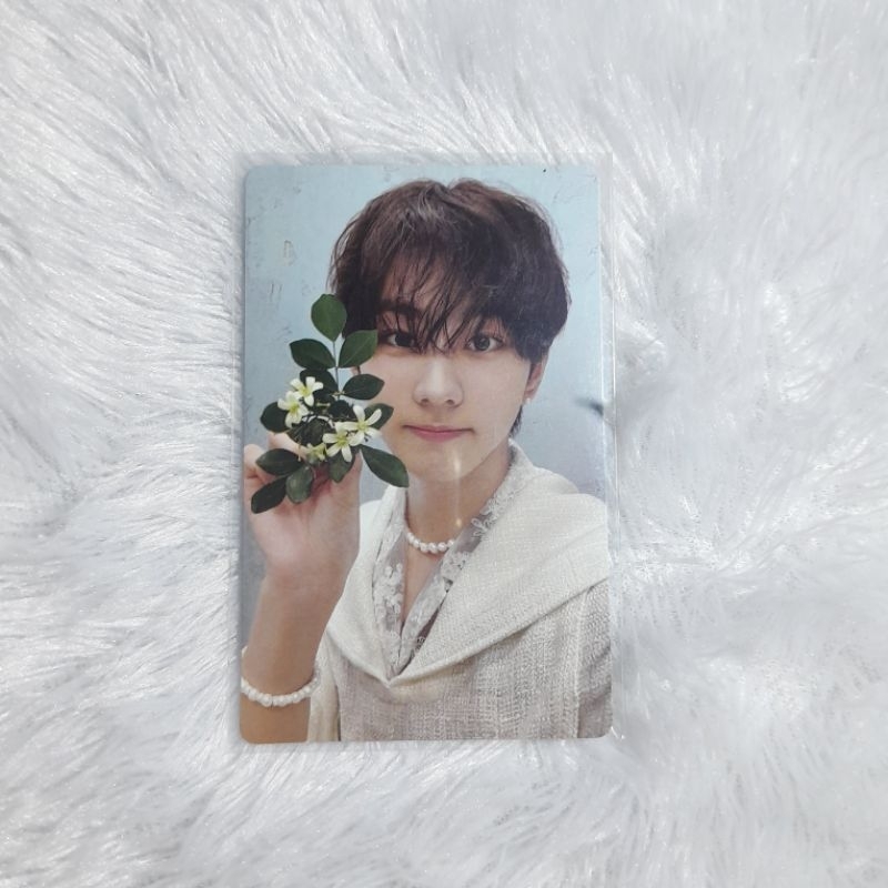 PHOTOCARD JUNGWON KALPA OFFICIAL [Baca Deskripsi]