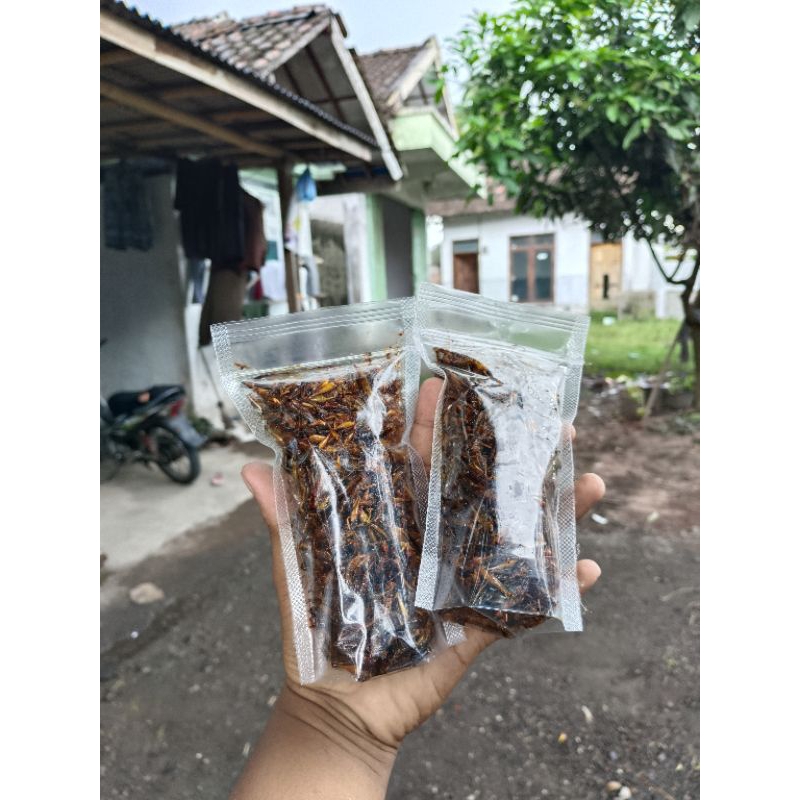 

Belalang Goreng Kecil Krispy - Camilan Unik, Gurih & Tinggi protein