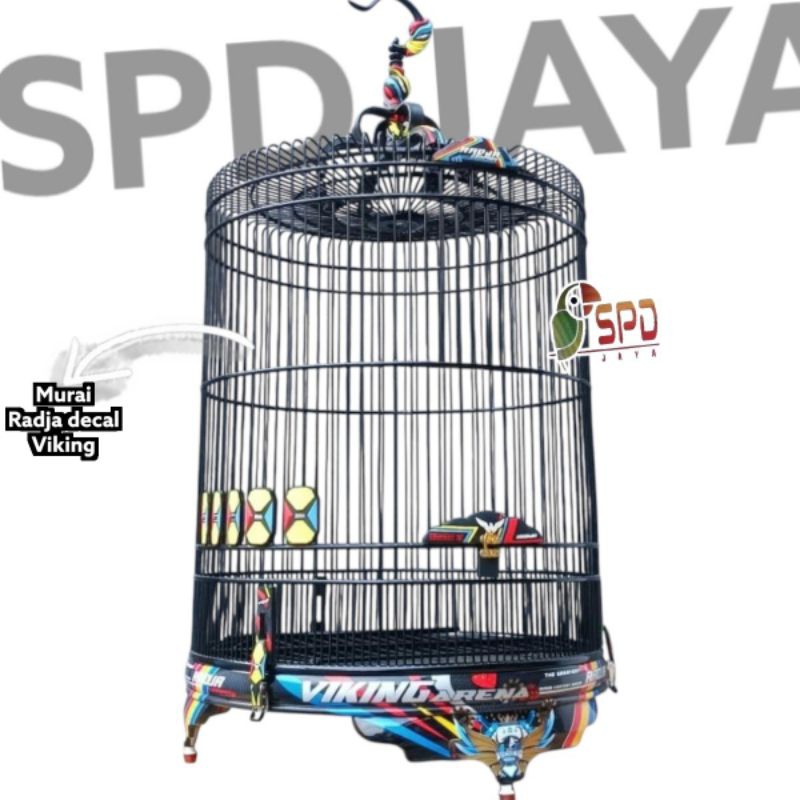 Sangkar kandang murai Radja viking arena