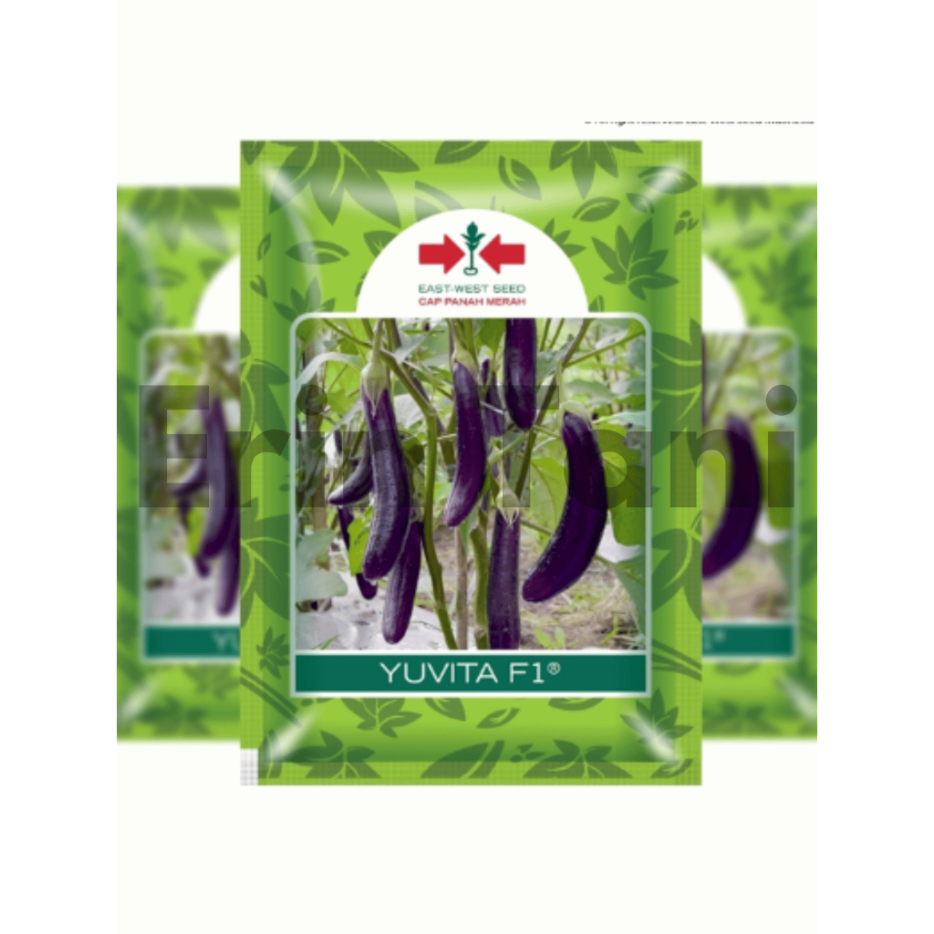 ( 10 bungkus) Benih terong YUVITA F1 1100 butir GROSIR terung ungu yuvita 1100butir terong jumbo ung