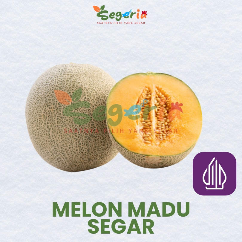

BUAH MELON SEGAR PER BUAH