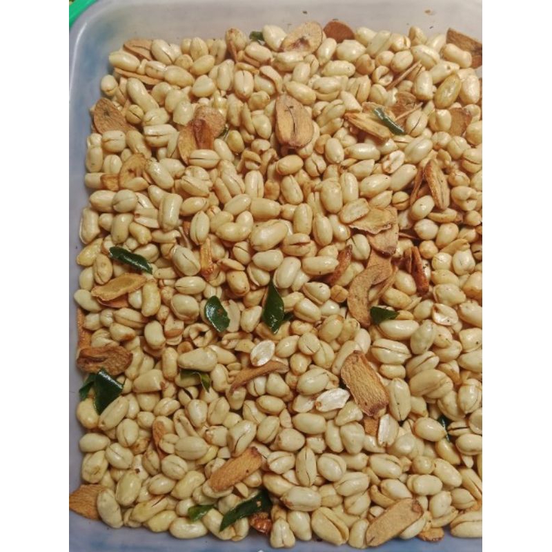 

kacang bawang Lampung