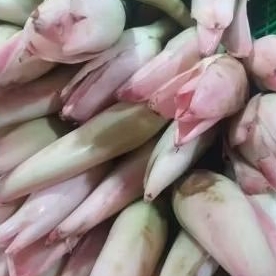 

kecombrang /kencong 250 gram