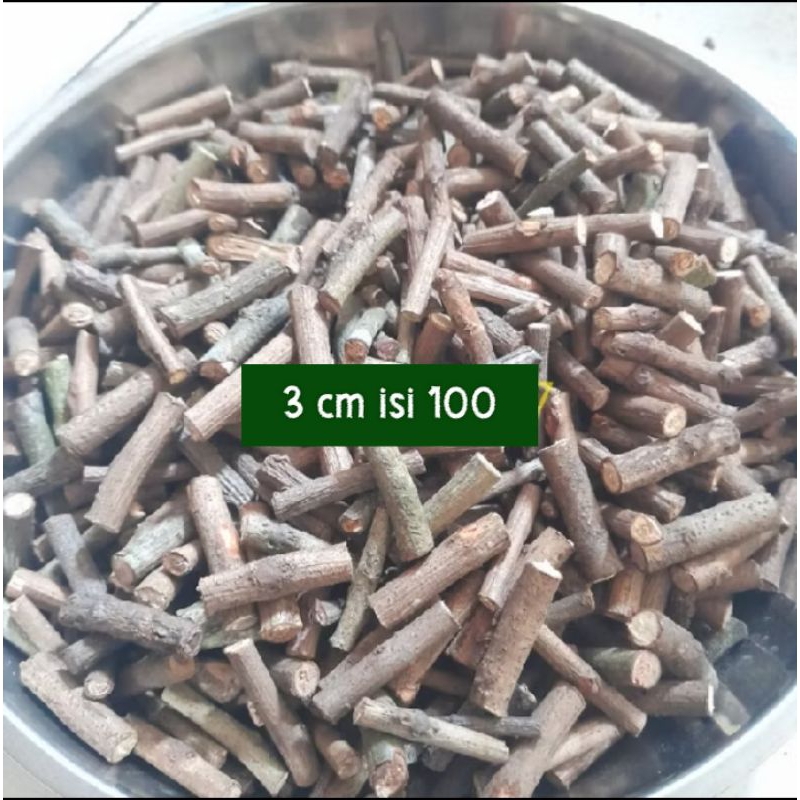 

RANTING KAYU KERING PRAKARYA, PRAKARYA , RANTING KECIL