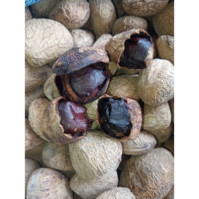 

Kluwek 500gr Kluwak Picung Pucung siap di pakai matang rawon