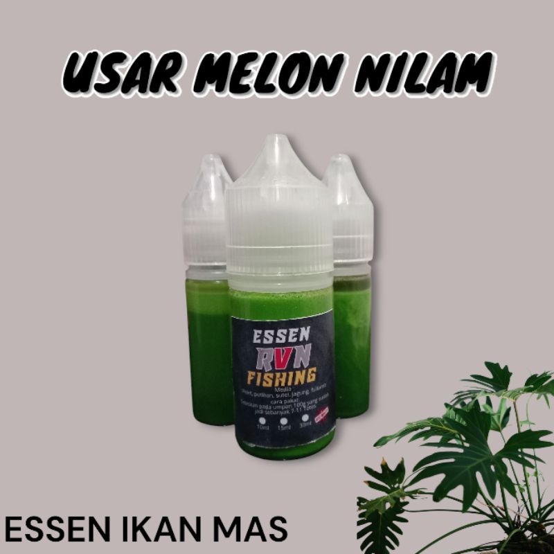 Essen USAR MELON NILAM ikan mas