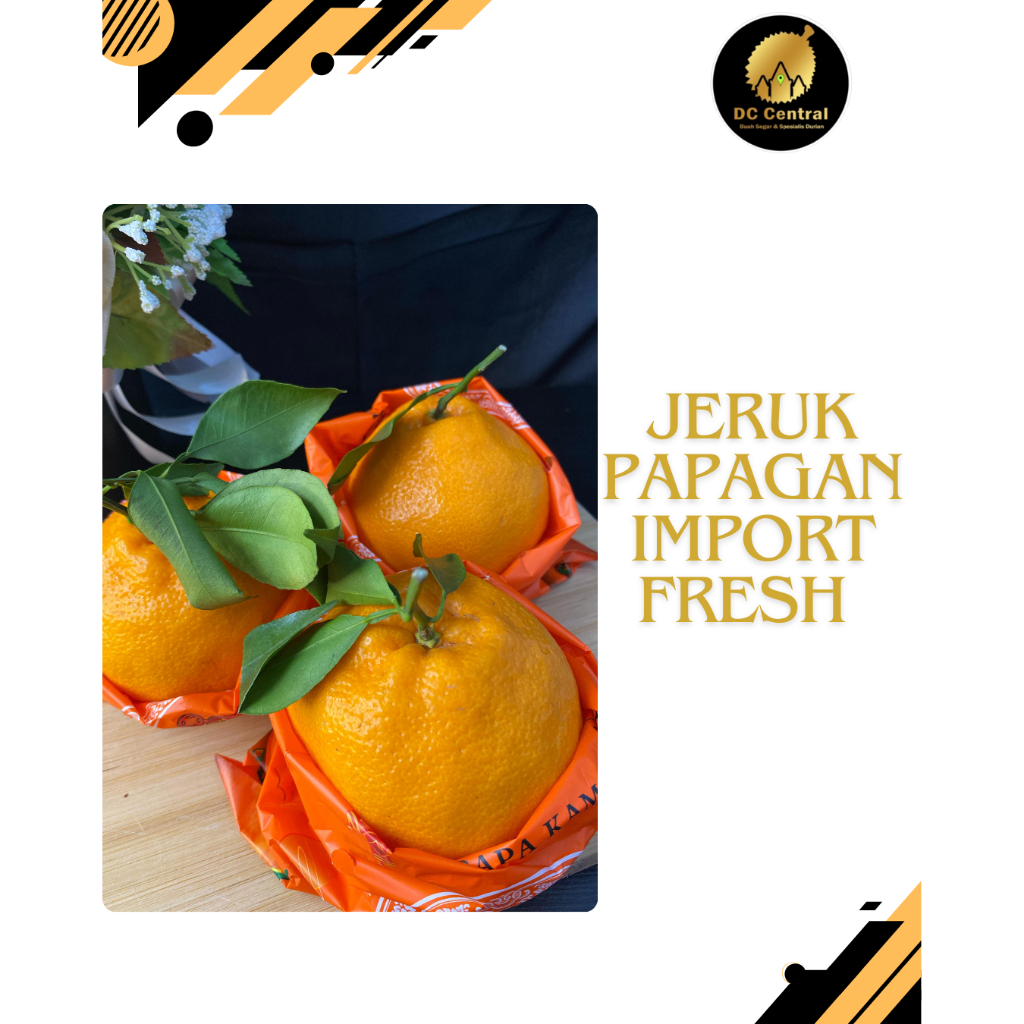 

JERUK PAPAGAN PREMIUM MANIS SEGAR 1 KG