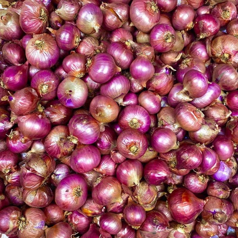 

bawang merah lokal Bali karet super