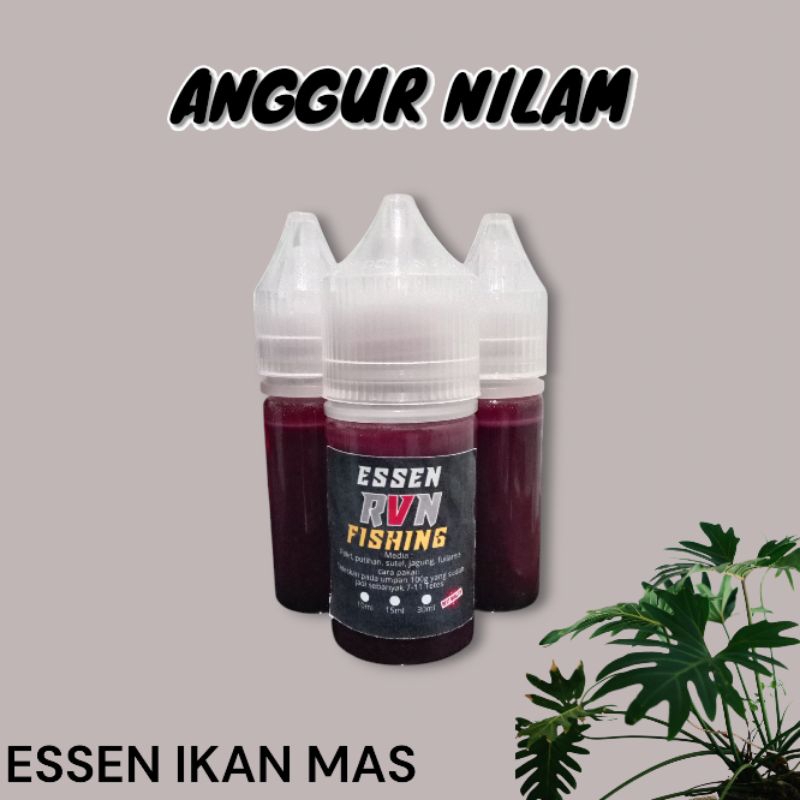 Essen ANGGUR NILAM ikan mas