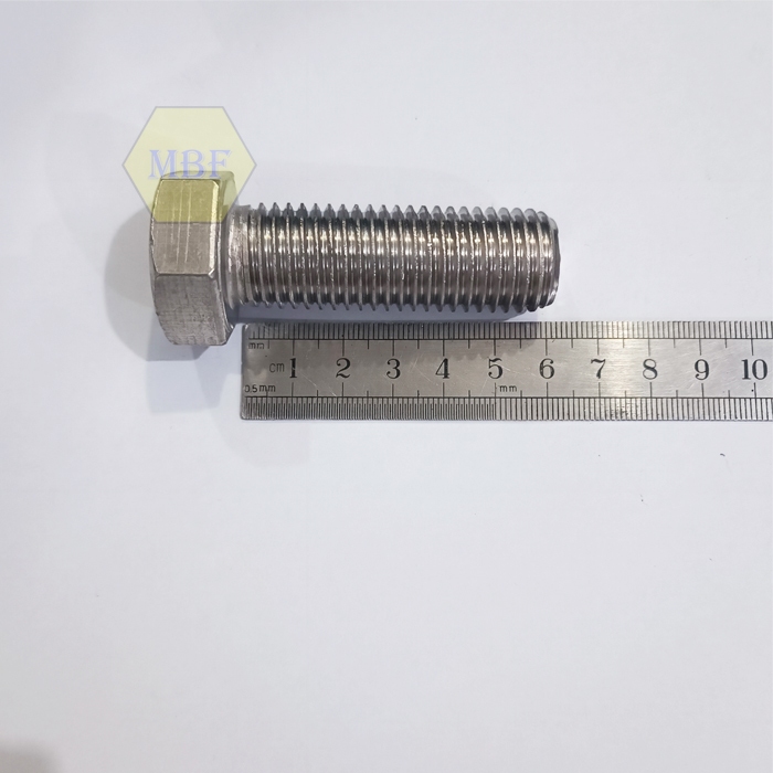 M20 x 60 Baut Hexagon Stainless 304 M20x60